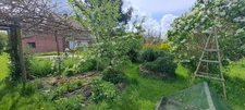 Maison individuelle pleine de charme de 170 m²  - HERGNIES (59)