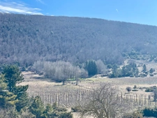 FOR SALE – Château to renovate on 100 hectare estate 