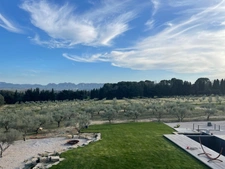 Bouches du Rhône Department (13), Prestigious Property near Saint-Rémy de Provence, at the gateway to the Alpilles Natural Park