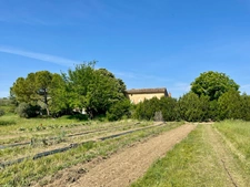 Hamlet house to renovate in ROUSSILLON (84)