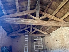 FOR SALE – Château to renovate on 100 hectare estate 