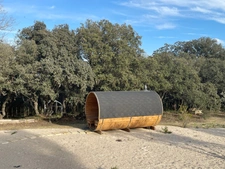 Bouches du Rhône Department (13), Prestigious Property near Saint-Rémy de Provence, at the gateway to the Alpilles Natural Park