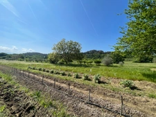 Hamlet house to renovate in ROUSSILLON (84)