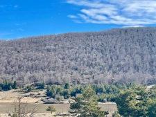 FOR SALE – Château to renovate on 100 hectare estate 