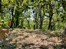 À vendre – Maison avec piscine et grand terrain arboré à Saignon (84400)