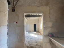 FOR SALE – Château to renovate on 100 hectare estate 