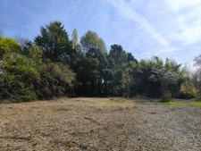 Terrain non constructible bordure Charente à vendre  VARS (16)
