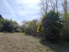 Terrain non constructible bordure Charente à vendre  VARS (16)