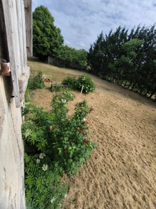Charentaise à rénover entièrement 10 pièces VERTEUIL SUR CHARENTE (16)