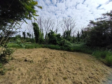 Charentaise à rénover entièrement 10 pièces VERTEUIL SUR CHARENTE (16)