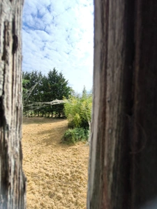 Charentaise à rénover entièrement 10 pièces VERTEUIL SUR CHARENTE (16)