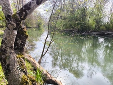 Terrain non constructible bordure Charente à vendre  VARS (16)