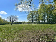 Maison à Vendre avec Potentiel Equestre