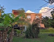                           NOUS L'AVONS TROUVEE !!! LA PEPITE POUR VOUS SE SITUE A GOURBEYRE 