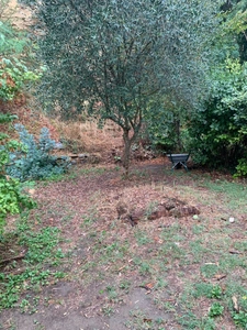 Maison de village avec jardin – 3 chambres – Hauterives
