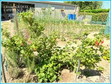 SAINT-NAZAIRE FAMILY RESIDENTIAL AREA, for sale 4 BEDROOM HOUSE, ENCLOSED GARDEN, OUTBUILDINGS.