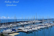 Studio cabine vue sur mer vieux port LE CAP D'AGDE (34)