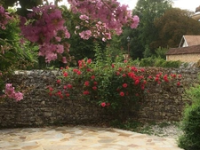 House for sale 5 rooms 100 m² in St Front la Rivière on land of 1188 m² (24)