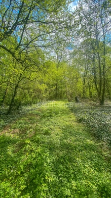 Dpt Essonne (91), à vendre ANGERVILLE propriété composé de 2 maisons (plus de 600 m² habitable) sur terrain de 29700 m².  
