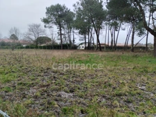 Terrain à vendre  SAINT AUBIN DE MEDOC (33)