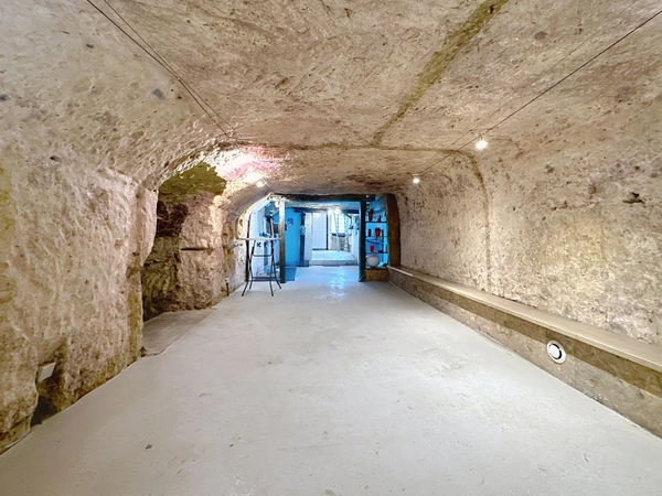 Local/bureau à vendre MONTLOUIS SUR LOIRE (37)