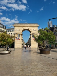 PLACE GRANGIER CENTRE VILLE DIJON  SPACIEUX  APPARTEMENT DE 139 m2 