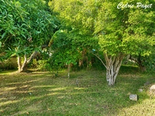Terrain à vendre de 469,00 m² LA RIVIERE (974)