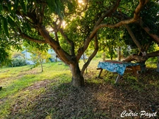 Terrain à vendre de 469,00 m² LA RIVIERE (974)