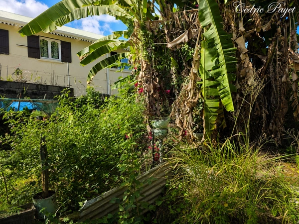 Terrain à construire avec vue de 410 M2 à vendre  LA RIVIERE (974)