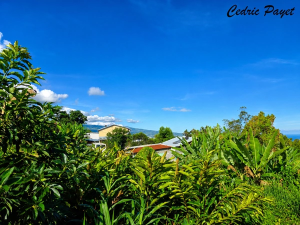 Terrain à vendre  LA RIVIERE (97421 )