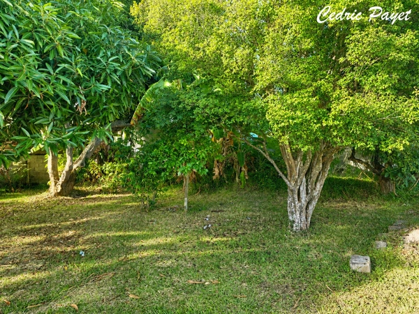 Terrain à vendre de 469,00 m² LA RIVIERE (974)