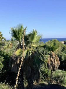 Maison à vendre 4 pièces LES ISSAMBRES (83)