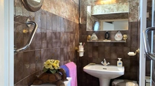 4 bedroom house, outbuildings and double garage MASSANGIS (89)