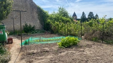 4 bedroom house, outbuildings and double garage MASSANGIS (89)