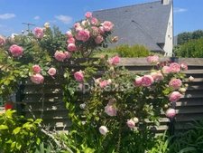 House for sale, 6 rooms, LARMOR BADEN (56)