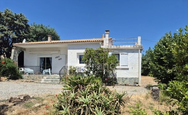 ALÉRIA – VADINA | MAISON 118 M² SUR 3 200 M² DE TERRAIN À 2 KM DE LA MER – FORT POTENTIEL INVESTISSEUR