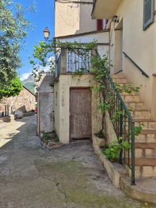 Maison à vendre 3 pièces CALENZANA (20)
