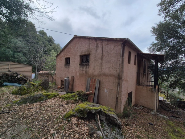 Propriete à vendre 7 pièces CORTE (20)