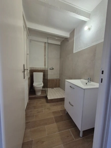 Maison à vendre 3 pièces CALENZANA (20)