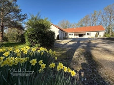 ROMORANTIN LANTHENAY (41) Maison à vendre en viager occupé 10 pièces - 255 m² - 