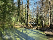 House for sale with an occupied life annuity, 10 rooms - 255m2 - ROMORANTIN LANTHENAY (41)