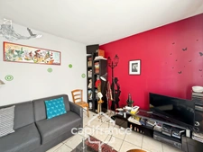Appartement viager à vendre occupé 2 pièces TOURS (37)