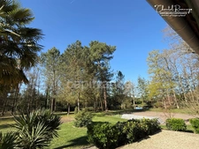 House for sale with an occupied life annuity, 10 rooms - 255m2 - ROMORANTIN LANTHENAY (41)