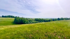 Terrain à vendre de 6000 m² proche de MONTAUBAN (82)