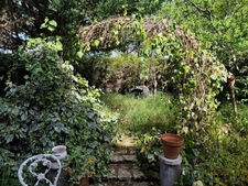 Maison à vendre 6 pièces L'ISLE D'ESPAGNAC (16)