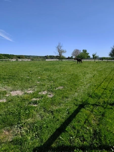 House for sale, 5 rooms, LA COURONNE (16)