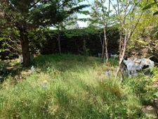 Maison à vendre 6 pièces L'ISLE D'ESPAGNAC (16)