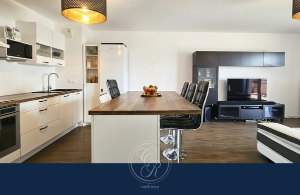 3 pièces récent de 75 m² avec terrasse plein sud (ANGERS 49)