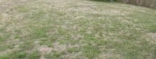 Terrain 828 m²  LEGE (44)