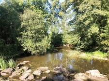 Propriété Moulin à 422 m² ROCHESERVIERE (85)